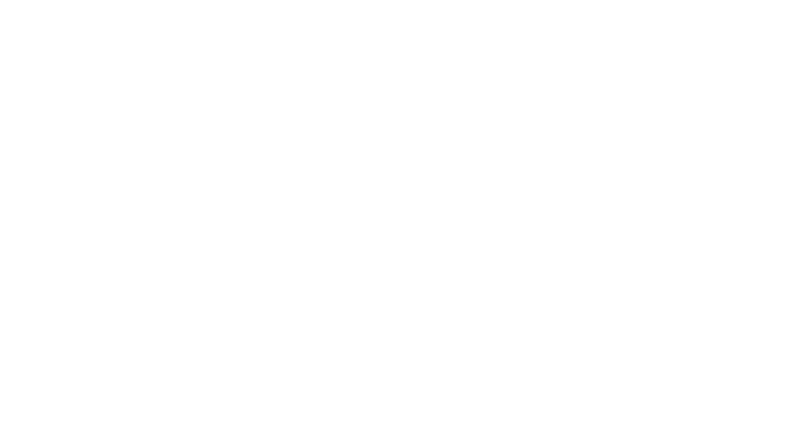 theburntchefproject